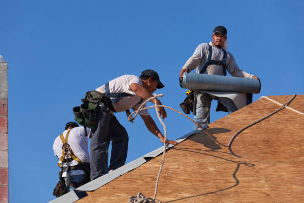 Roof Gutter Cleaning in El Segundo, CA